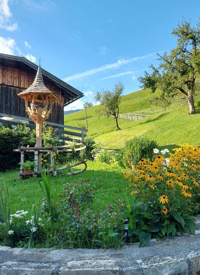 Almhof Grub Villa Wagrain Exterior photo